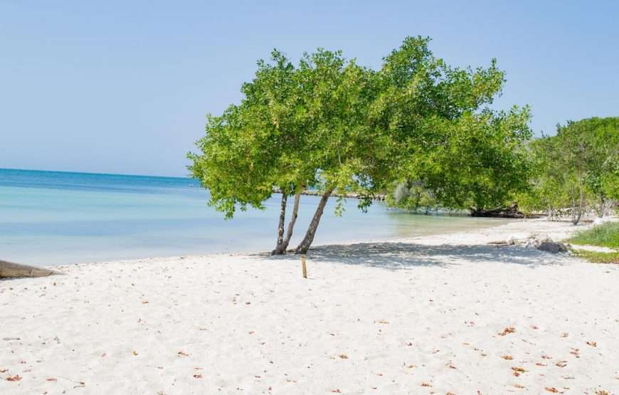 Baru Playa eco beach tour to the rosario Islands