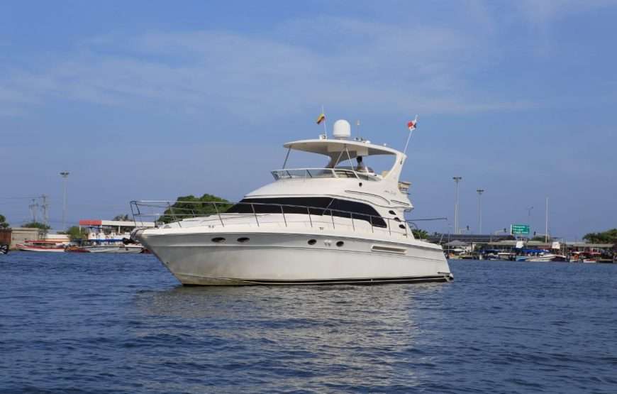 Yacht Sea Ray 56ft Luxury tour to the rosario Islands 16 Pax