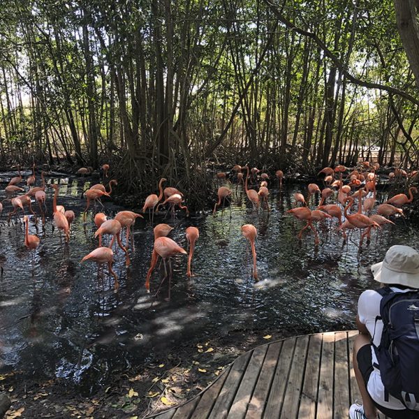 Cartagena National Aviary tour 5