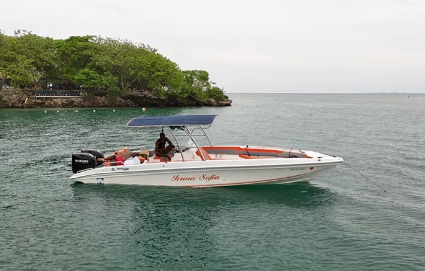 29 ft Boat Ivana Sofia – 6 Guests