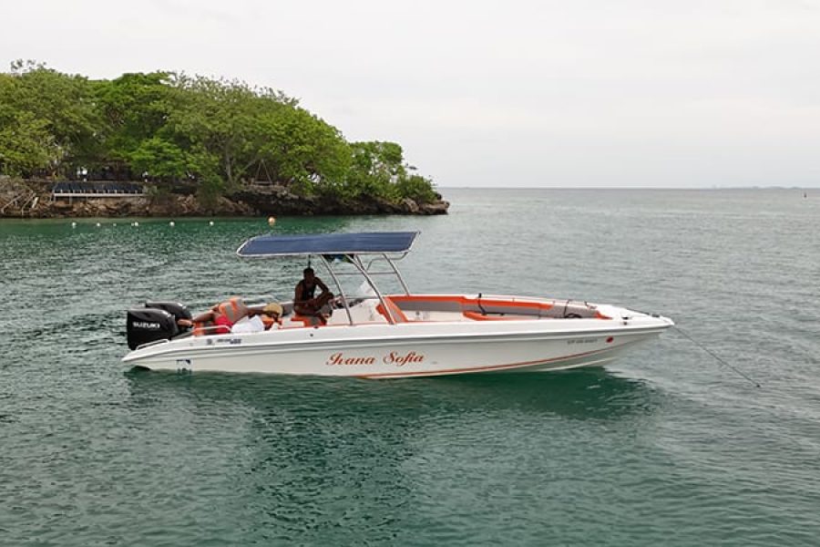 29 ft Boat Ivana Sofia - 6 Guests - 1