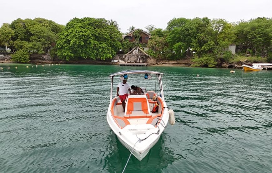29 ft Boat Ivana Sofia – 6 Guests