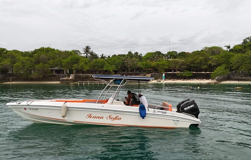 29 ft Boat Ivana Sofia – 6 Guests