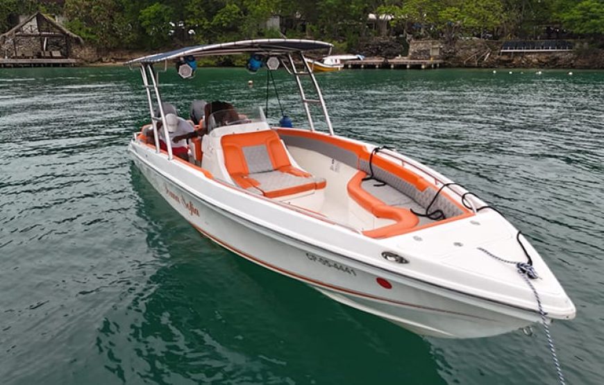 29 ft Boat Ivana Sofia – 6 Guests