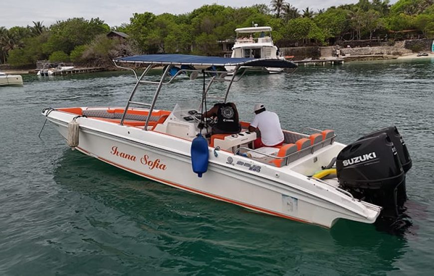 29 ft Boat Ivana Sofia – 6 Guests