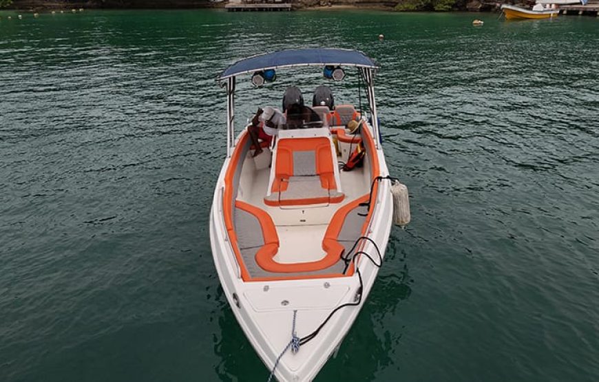 29 ft Boat Ivana Sofia – 6 Guests