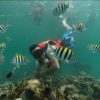 4 rosario islands + Cholon Cartagena