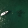4 rosario islands + Cholon Cartagena 2
