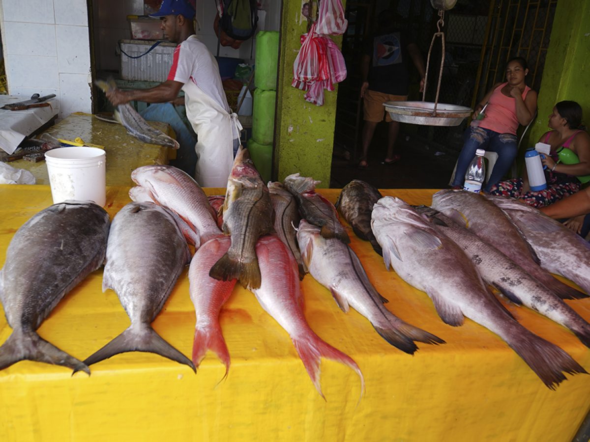 Bazurto Cartagena 6