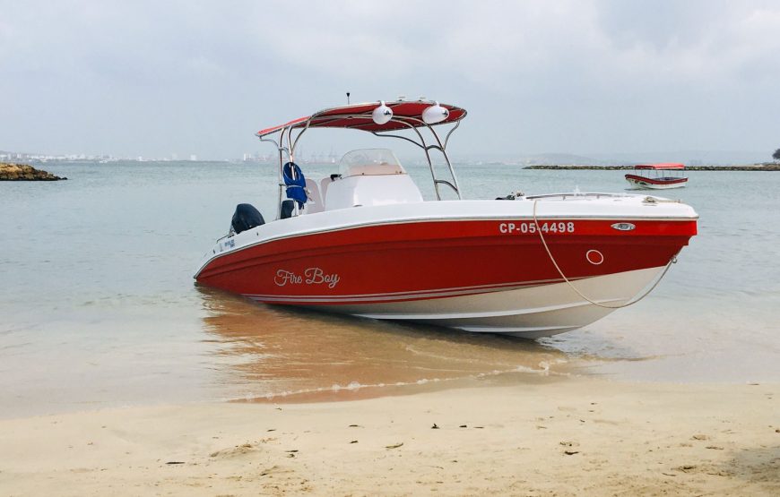 Barco Fire Boy de 32 pies – 11 invitados