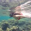 Encanto island snorkeling