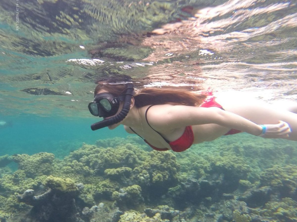 Encanto island snorkeling