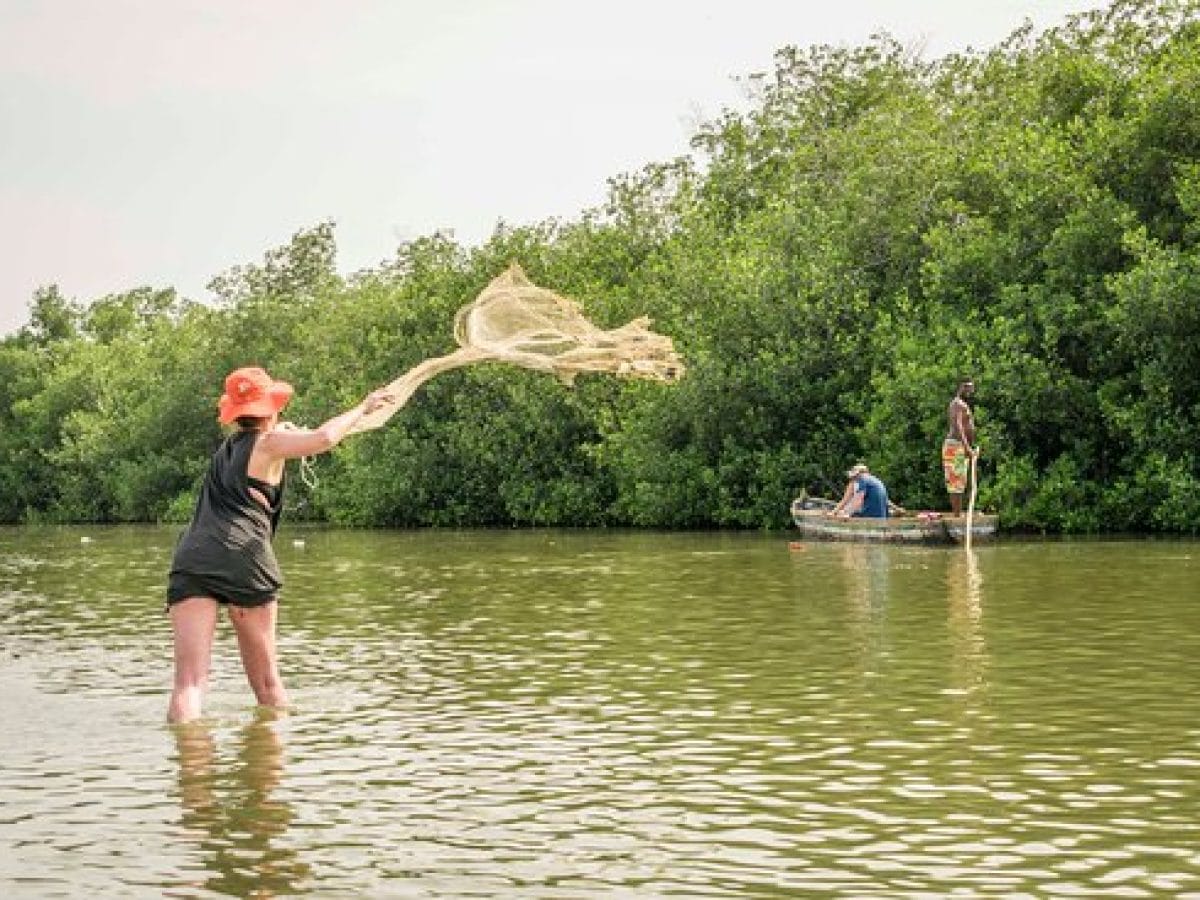 Mangrove tour Cartagena 8