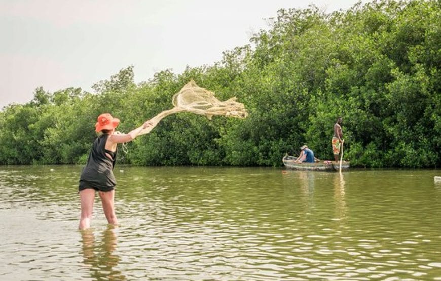 Mangrove tour Cartagena