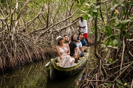 Mangrove tour Cartagena