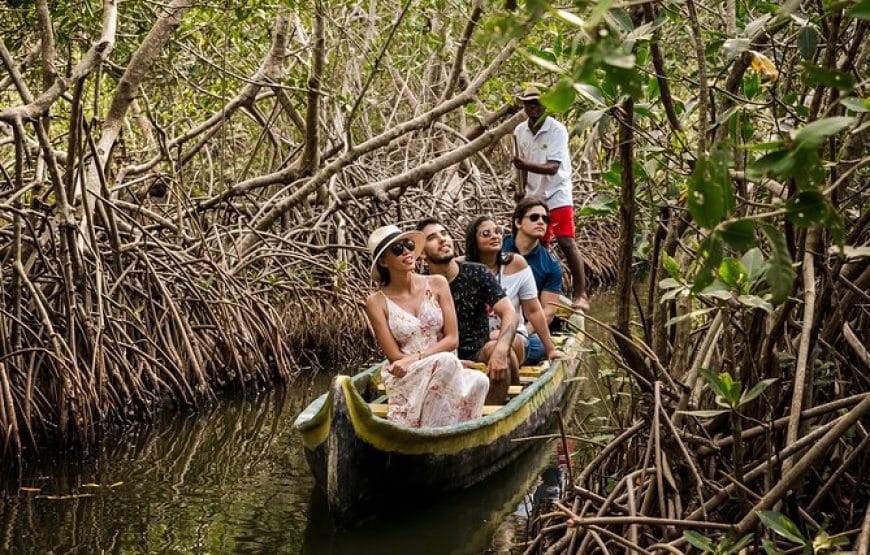 Mangrove tour Cartagena