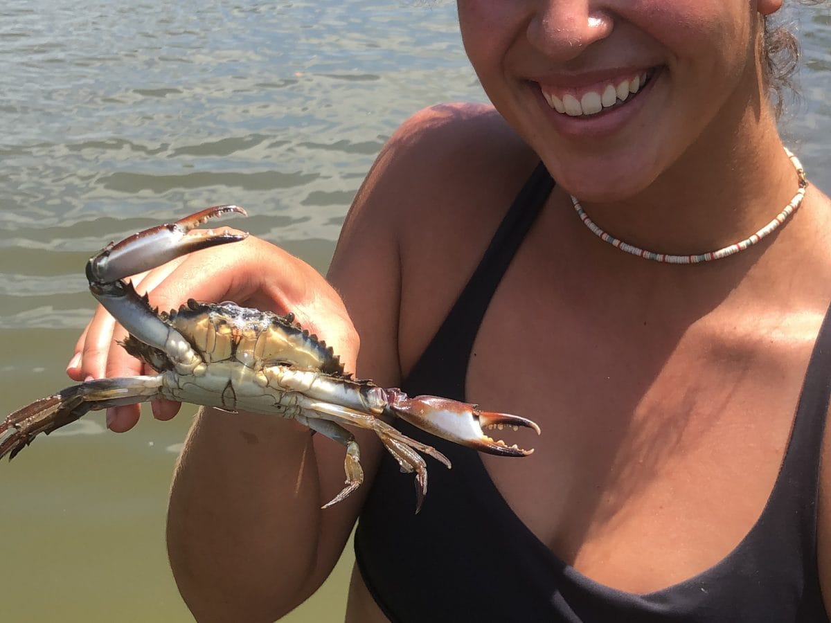 Mangrove tour Cartagena 7