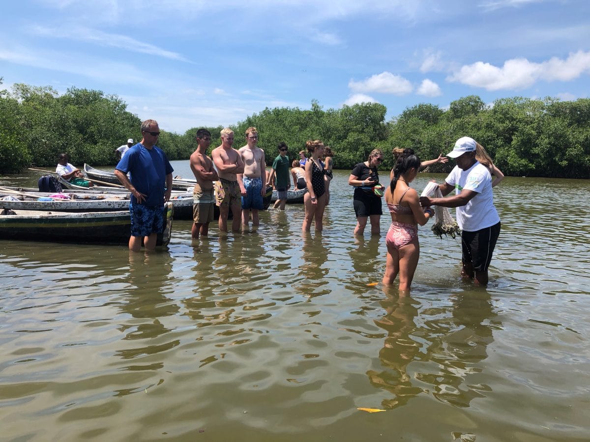 Mangrove tour Cartagena 6
