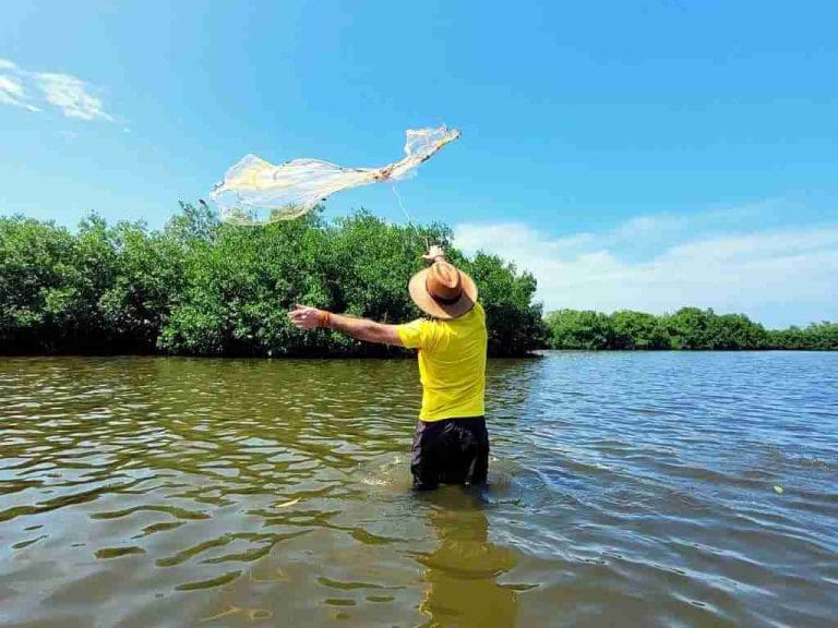 Mangrove tour Cartagena 5