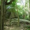 Tayrona National Park, Colombia