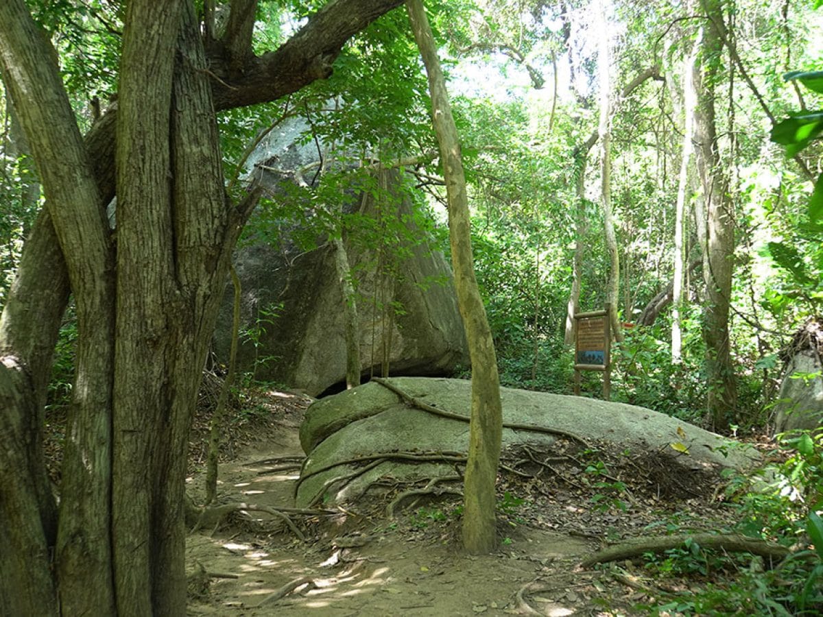 Tayrona National Park, Colombia