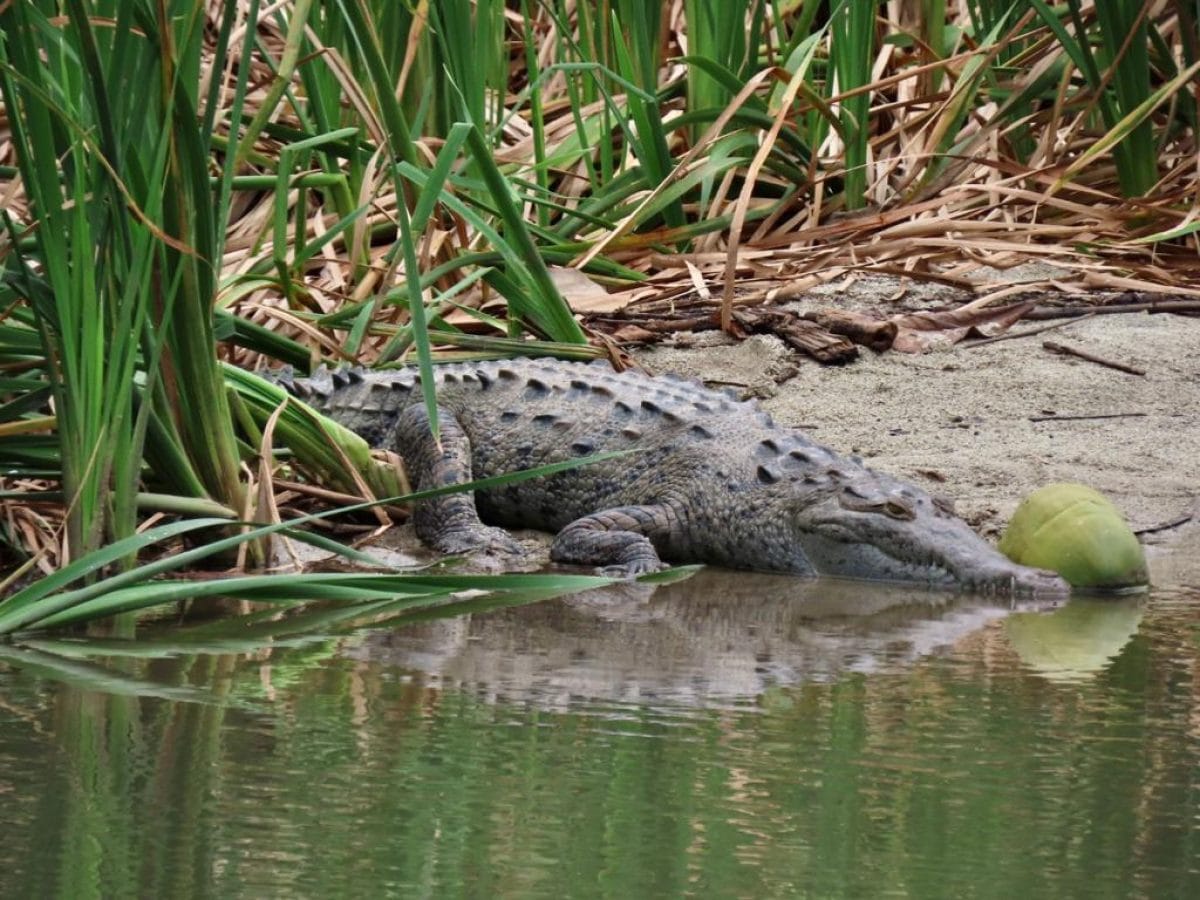 Tayrona National Park, Colombia