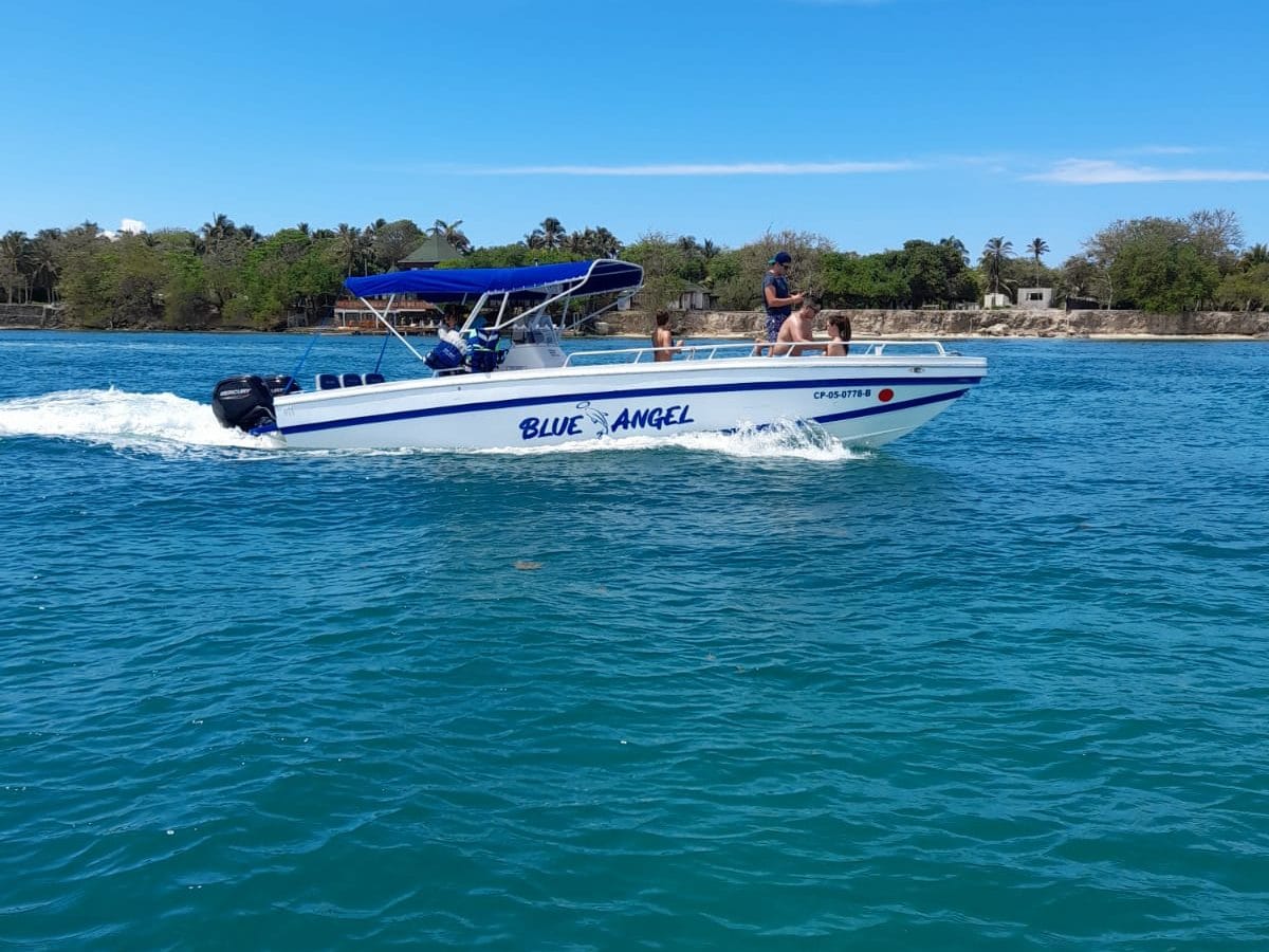 29 ft Boat Blue Angel - 1