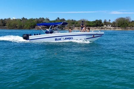 29 ft Boat Blue Angel - 1