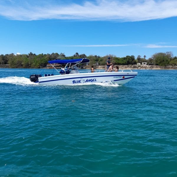 29 ft Boat Blue Angel - 1
