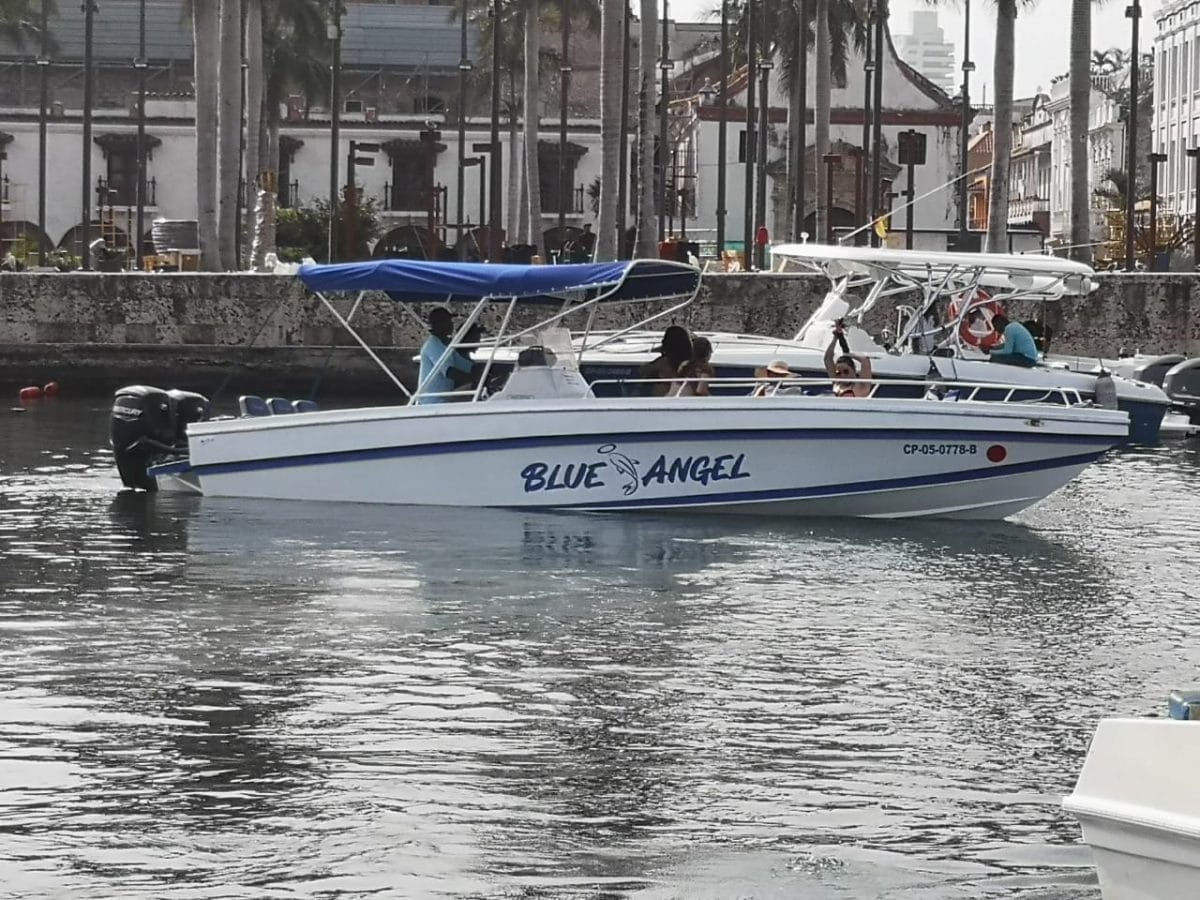 29 ft Boat Blue Angel - 2