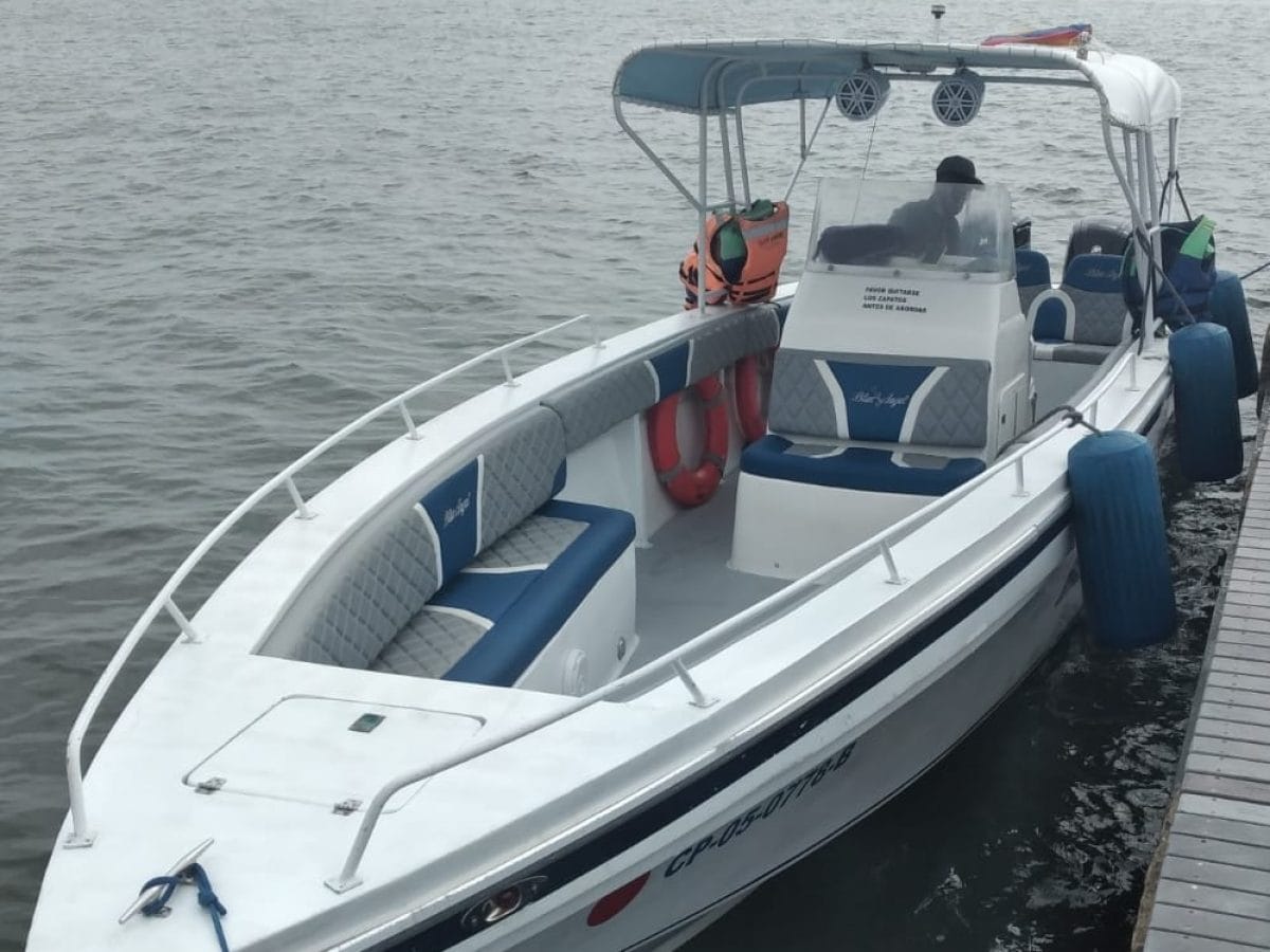 29 ft Boat Blue Angel - 7