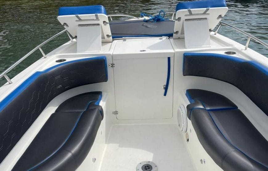 Barco de 32 pies Freewind – 12 invitados