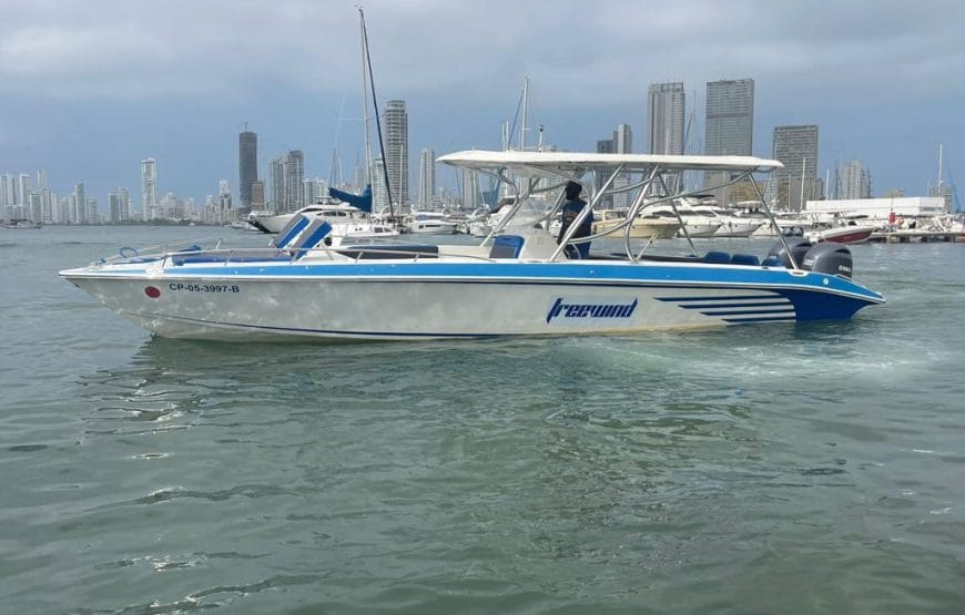 Barco de 32 pies Freewind – 12 invitados