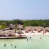 TinTinPan Island tour 4