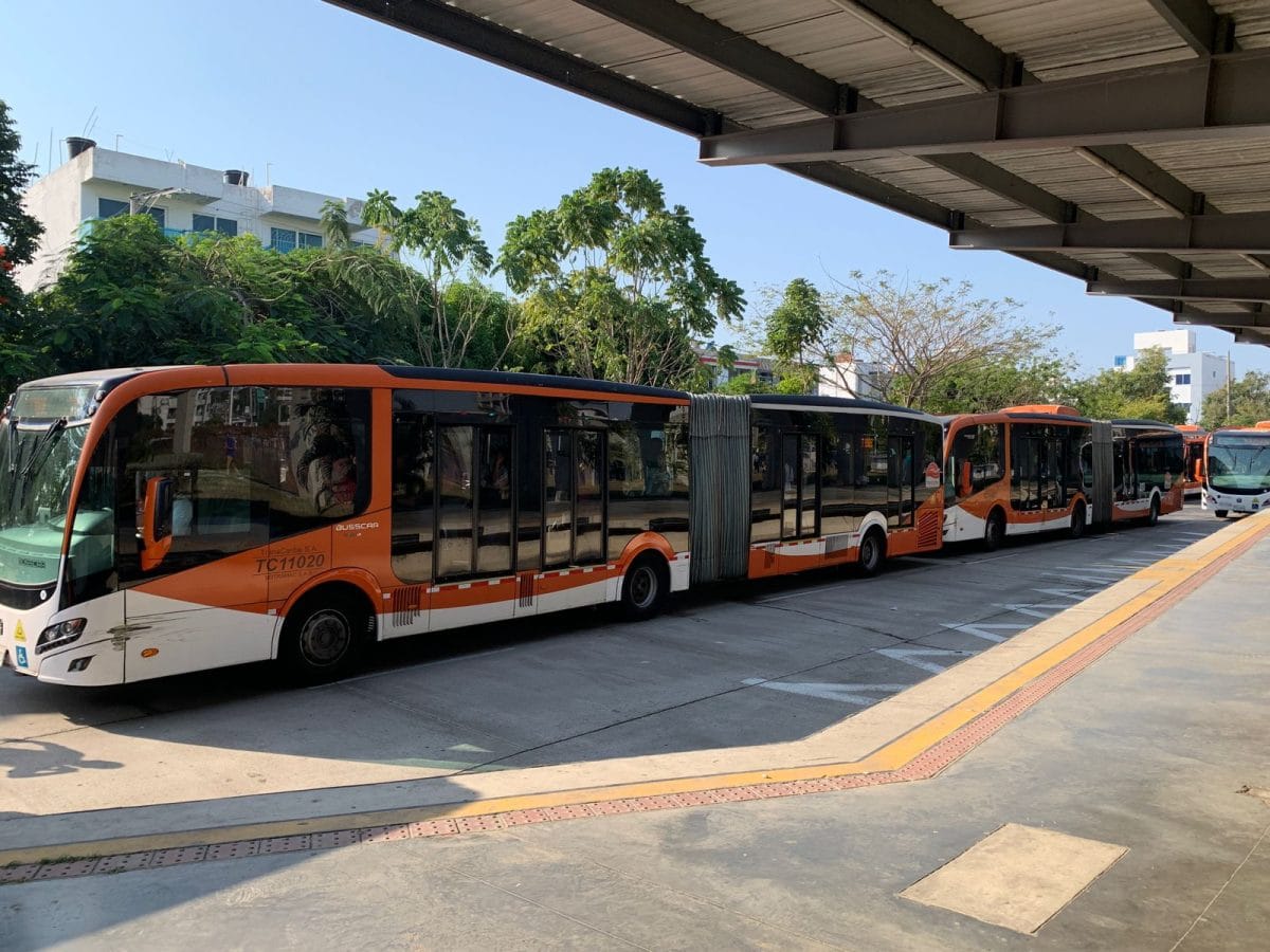 New buses in Cartagena3