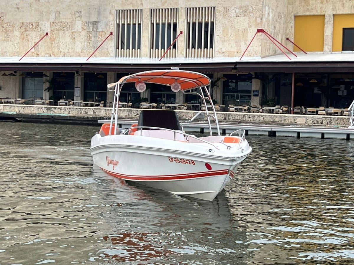 29 ft Boat Ginger - 7 guests 1