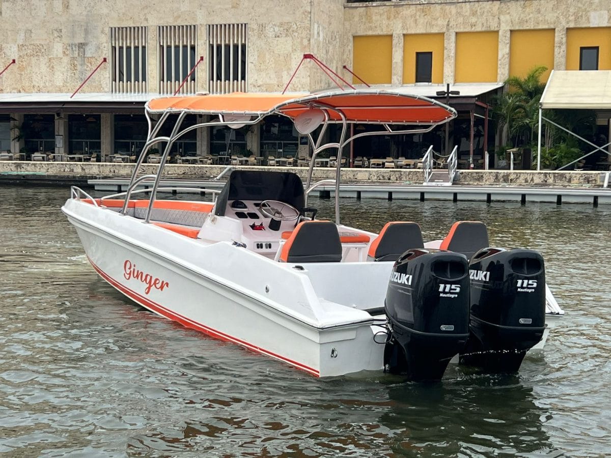 29 ft Boat Ginger - 7 guests 11