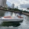 29 ft Boat Ginger - 7 guests 13