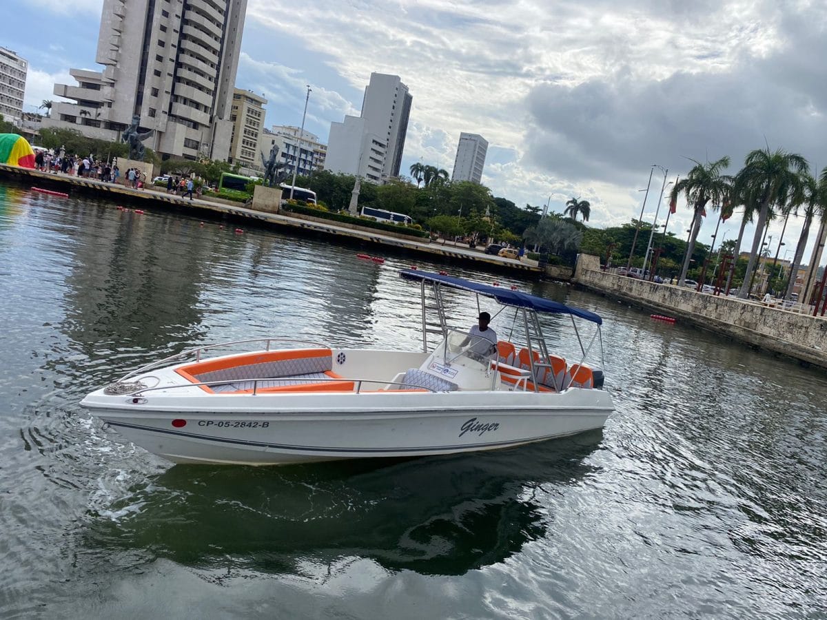 29 ft Boat Ginger - 7 guests 13