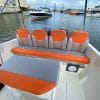 29 ft Boat Ginger - 7 guests 14
