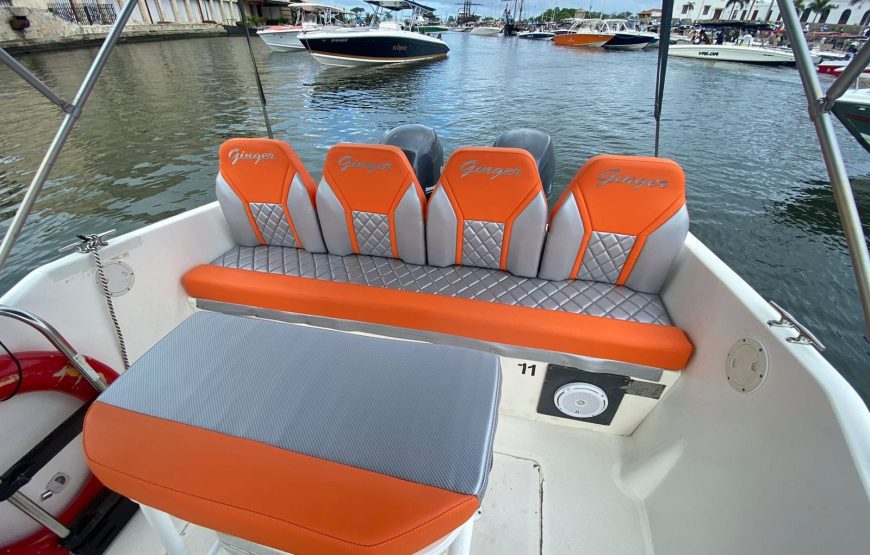 29 ft Boat Ginger – 7 Guests