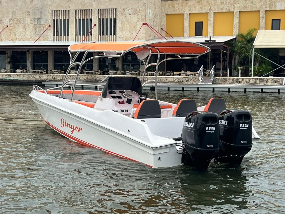 29 ft Boat Ginger - 7 guests 7