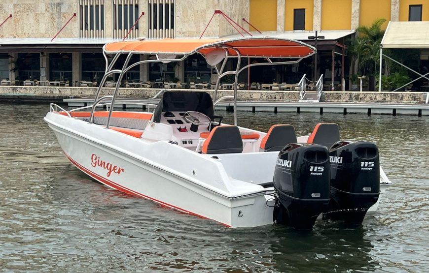 29 ft Boat Ginger – 7 Guests