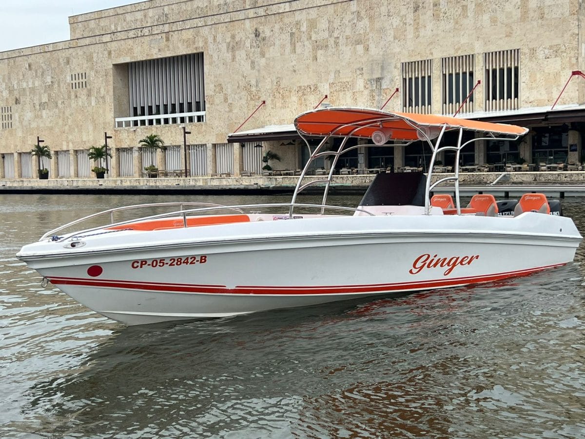 29 ft Boat Ginger - 7 guests 8