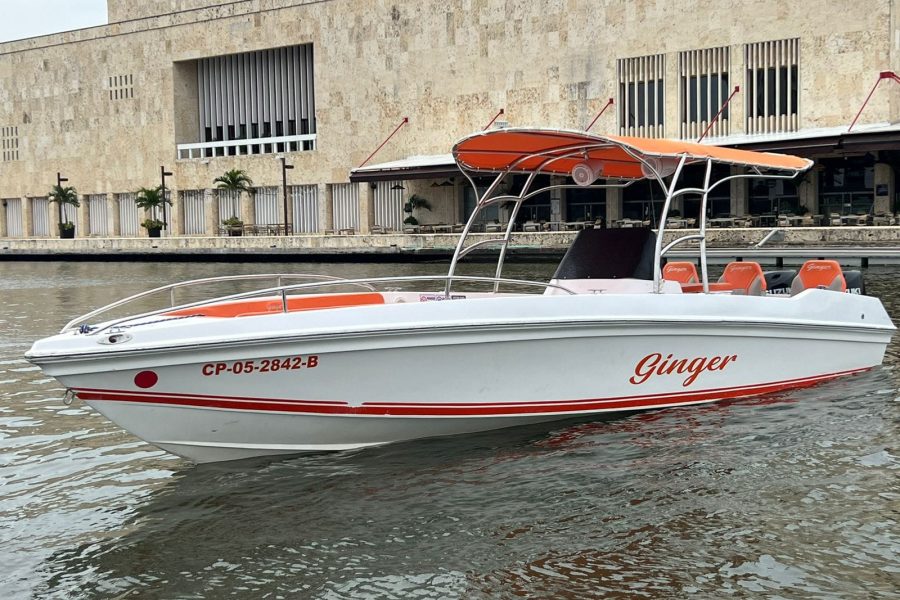 29 ft Boat Ginger - 7 guests 8