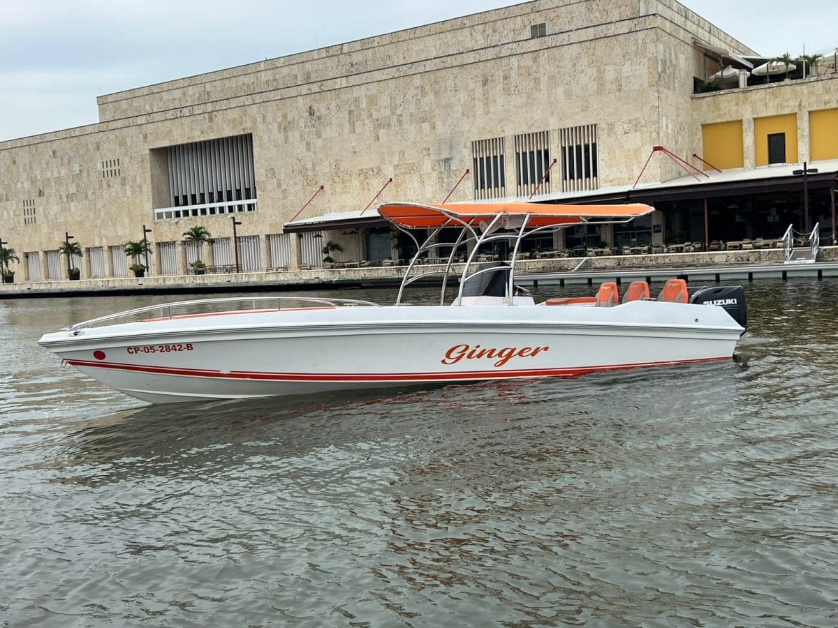 29 ft Boat Ginger - 7 guests 9
