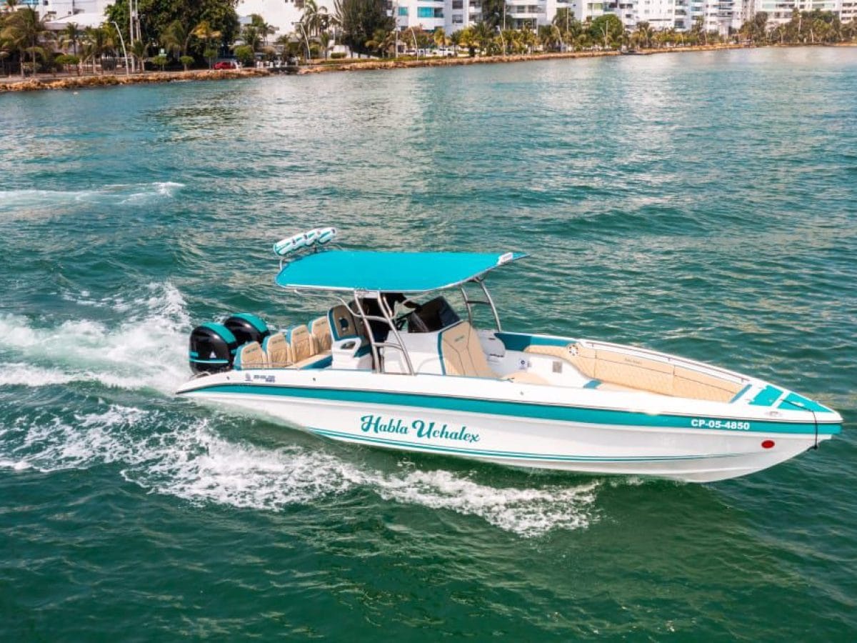 29 ft Boat Uchalex - 1
