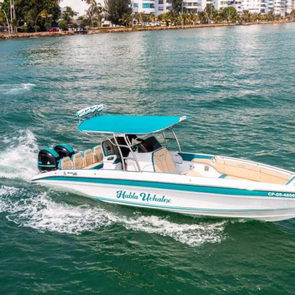 29 ft Boat Uchalex - 1