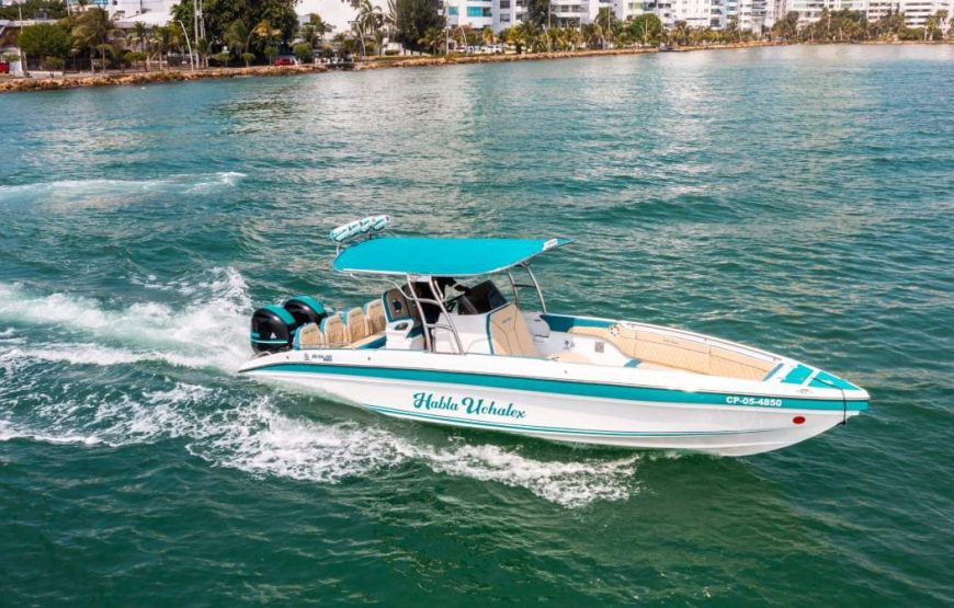 29 ft Boat Uchalex – 9 Guests