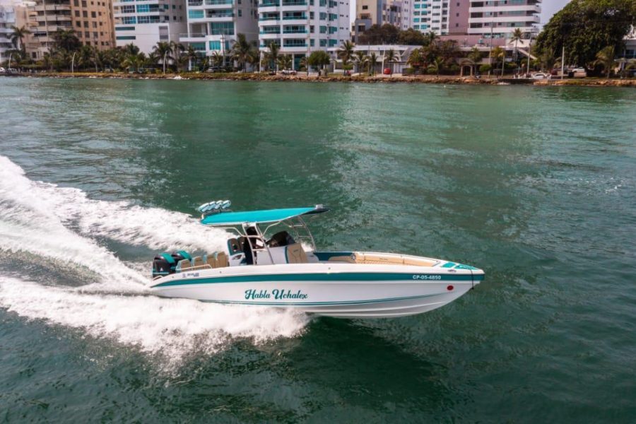 29 ft Boat Uchalex - 10